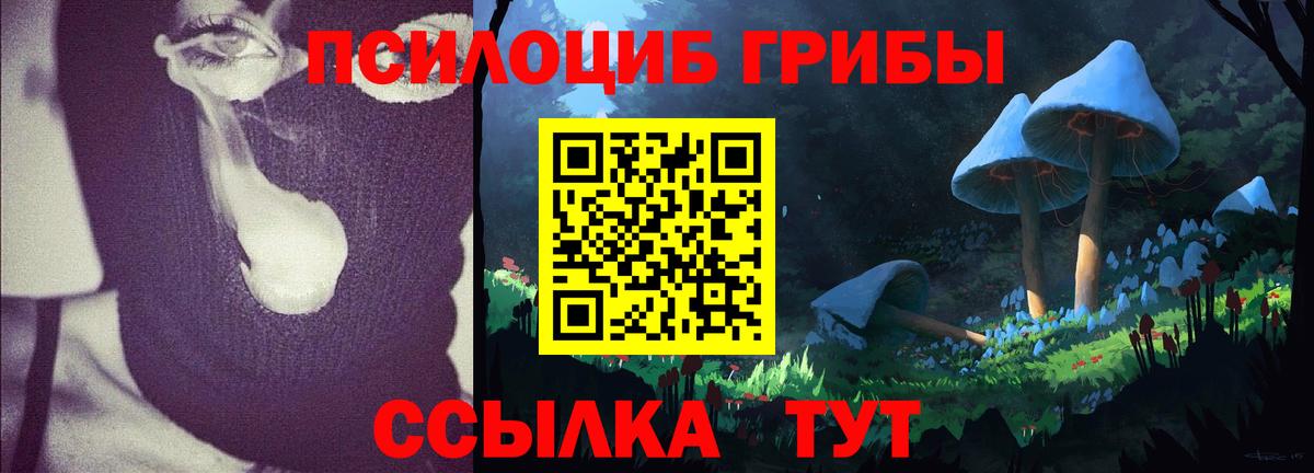 Сосновоборск  Псилоцибиновые грибы Magic Shrooms  Вход с VPN 
