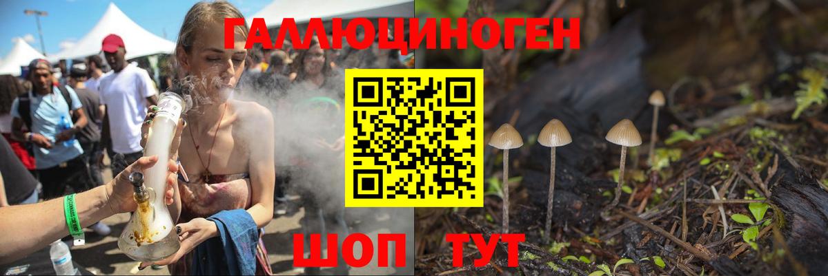 Псилоцибиновые грибы Psilocybine cubensis Сосновоборск